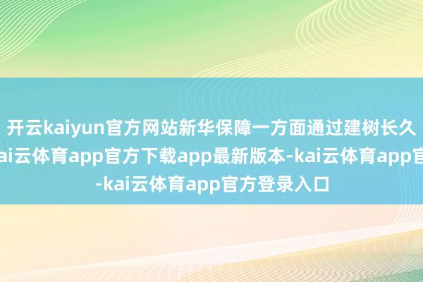 开云kaiyun官方网站新华保障一方面通过建树长久期利率债-kai云体育app官方下载app最新版本-kai云体育app官方登录入口
